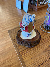 Load image into Gallery viewer, RWK Frosty
